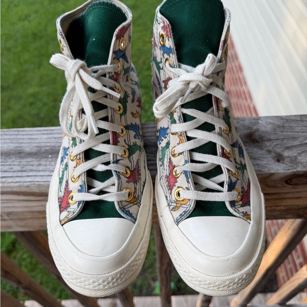 Unisex Dinosaur Converse M7 W9